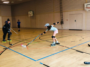 Inlinehockey